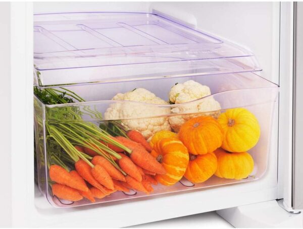 Refrigerador Electrolux 1 Porta 240 Litros RE31 220V Branca-Imagem 9